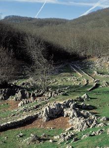 chemin