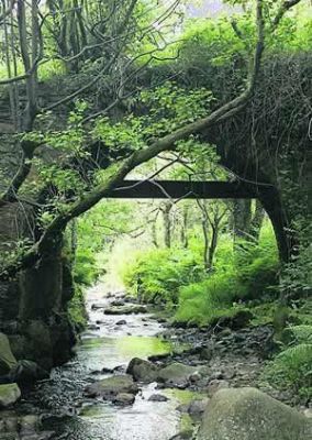 pont qui tremble