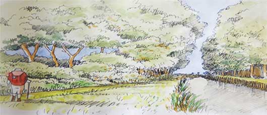 le long de l'eau